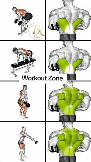 Build STRONGER Back And Muscle With Dumbbells Exercises? #Shoulder #exercise #Workout #BackBody