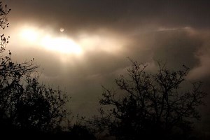 The CDC Offers Tips For Surviving A Zombie Apocalypse