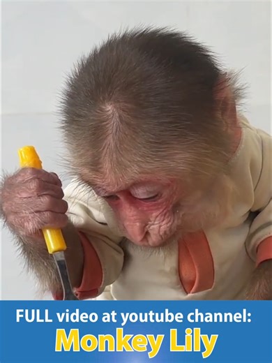 The Weirdest Egg Offer Ever