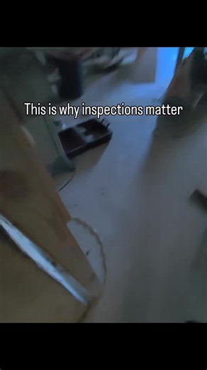 This is why inspections matter… Basements provide shelter, moisture, and protection, making them one of the most common locations for pest activity.