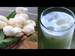 Nungu summer special drink || Nungu milk shake / Nungu paal recipe