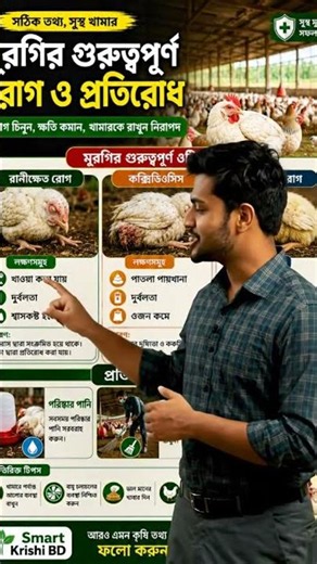 Very important for your chickens🐓 #smartkrishibd #farming #কৃষি #agriculture