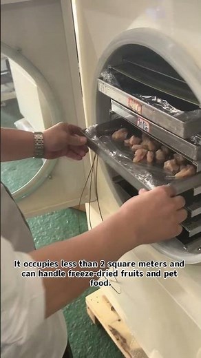 Freeze-Dried Chicken Breast Loading & Unloading | Industrial Food Freeze Drying Machine in Action