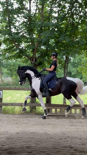 And just like that all this years now make sense🥹 I’ve been planing to introduce Weymouth bridle to Oreo for many month now and finally I did it today. First time and from first seconds he was so comfortable in it, without showing any tension and it felt like he was flying🦅 I have to be true that it was a bit emotional for me as this exact month 3 years ago I bought unbroken stallion and did the whole way myself, starting him and riding all way until now…and that feeling of full trust when we 