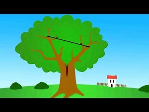 Cobra Bracing Tutorial