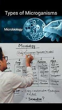 Types of Microganisms 🔥