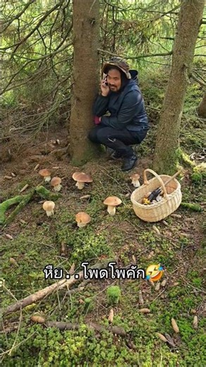 หืย..เห็ดอ๊ะย๊ะ อย่ามาทางบ้านข้อยเด้อ เห็ดบ่มีดอกพะนะ #เห็ดผึ้งหวาน #karljohan #porcini #Boletus