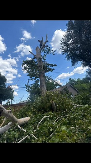 Fence Contractors NV on Reels | Facebook