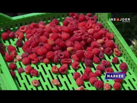 Mleko na asfaltu: Vlast najavljuje reforme, poljoprivrednici traže konkretne poteze