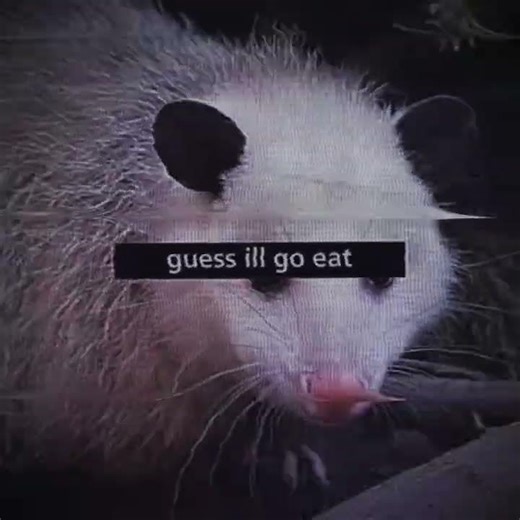 Guess I'll go eat worms #worms #edit