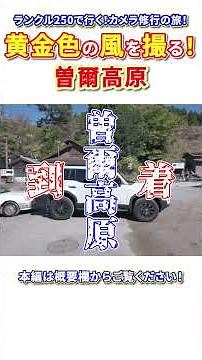 「黄金の風が吹く場所」奈良・曽爾高原の秋🌾｜ランクル250×α7CⅡ #shorts #曽爾高原 #ススキ #秋の絶景