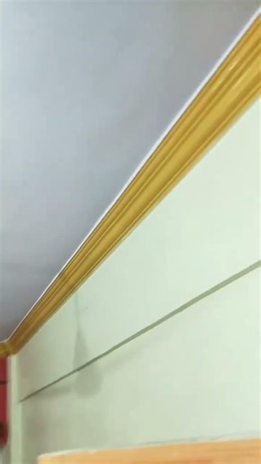 A1 Painting Services 💯 Wall Painting Magic (Before/After) #painting #homedecor #thane #shorts