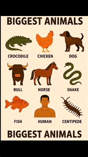 Discover the Biggest Snake Species in the World