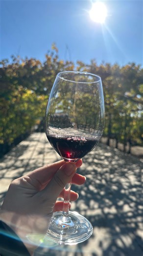 2.2K views · 15 reactions | Save this post for your next trip out to...