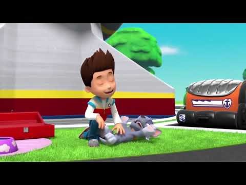 paw patrol - tickle tickle