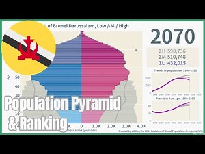 [🇧🇳Brunei Darussalam] Population Pyramid & Ranking (1950-2100) #wpp2024
