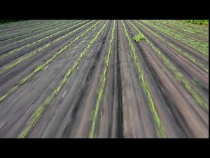 Flying Over Agricultural Land 4K Drone Footage