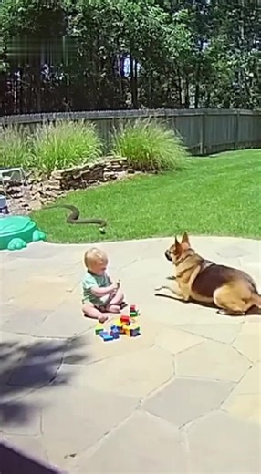 Baby mit Hund #hund #baby