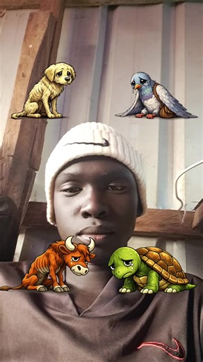 Mono jay (@mono.jay7)’s videos with original sound - 24HBALL