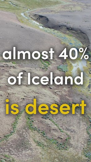 Iceland's Lost Forests: Reforestation and Rewilding Efforts