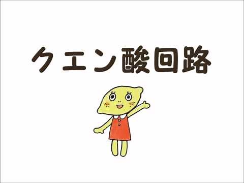 【オリジナル】クエン酸回路のおぼえうた【覚え歌】