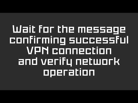 How to Set Up VPN + RDP on Tails OS When Tor Is Blocked (VPN.CD Level 4) | Unsafe Browser + Remmina