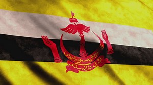 Brunei flag, full screen - Free Stock Video
