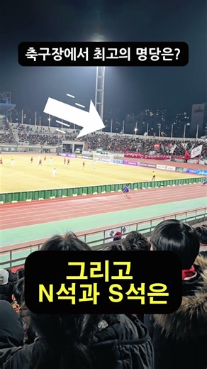 축구장 최고의 명당은?