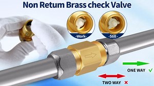 RV Water Heater Backflow Preventer, 1/2" NPT Male to Female Thread Hot Water Heater Check Valve, Lead-Free Brass Plumbing Backflow Check Valve for RV, Camper, Motorhome, Trailer