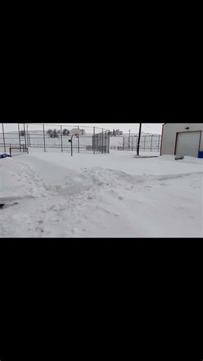 snow fort in the park over the years