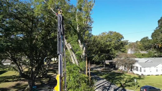 Not all tree removals are simple, that’s why hiring a certified arborist matters. Check out this removal we completed safely using proper equipment and technique🌳 Need help with removal, stump grinding🪵 storm damage or emergency removal? Give us a call or head over to our website to get your free quote 💪🏼🌲 📞 225-939-2322 💻 treeprola.com #diamondmowers #louisianatreepro #arborpro #stihl #stihlchainsaw #arborist #licensedarborist #likeitwasneverthere #allaccessequipment #TreeRemoval #treeca