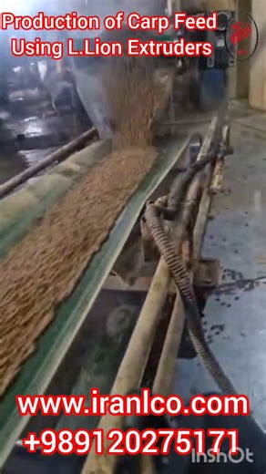 Carp Feed Extruder Machine Running | Aquaculture Technology #carpfeed #extruder #carp #aquafeed