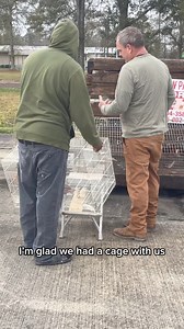 A little farm content: Farmers Market #blackfarmer #farmlifeisthebestlife #FarmersMarketVibes #farmersmarketfun #farmersmarketlife @highlight | Tresh Wheeler Foster