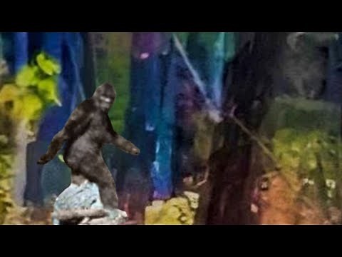 Fayette County Bigfoot Photo and what it means for the Patterson Footage
