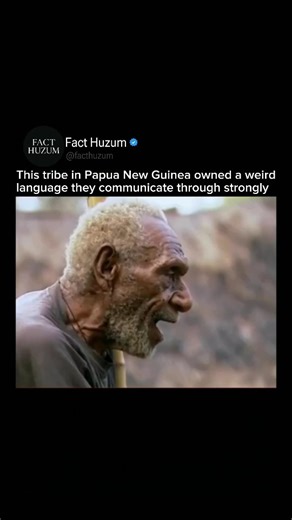 Fact Huzum on Instagram: "This unique tribe in Papua New Guinea is known as the “Kawelka”. They communicate using a “shouting-style language”, not over long distances, but even when standing close to each other. Their vocal expressions are loud, rhythmic, and highly animated, forming a unique cultural identity. Instead of calm tones, their everyday speech sounds like powerful chants or battle cries, often mistaken for arguments by outsiders. This intense vocal style is deeply rooted in their tra