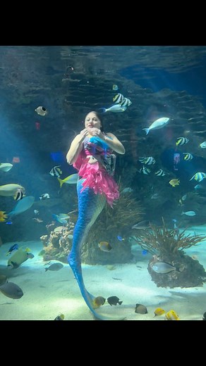 1.3K views · 7 comments | Got me thinking…. Wonder how long I could hold my breath for if I was a mermaid #mermaid #ripleysaquarium #UnderwaterAdventure | Jennifer Lyn Johnson | Facebook