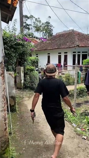 apa yang kalian pikirkan #mangalo #ngacapruk #comedy