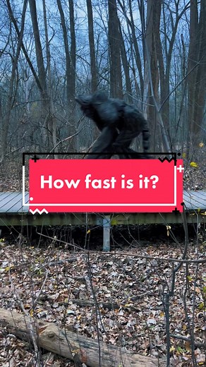 Becoming Faster and Stronger: Sprinting Goals Ahead