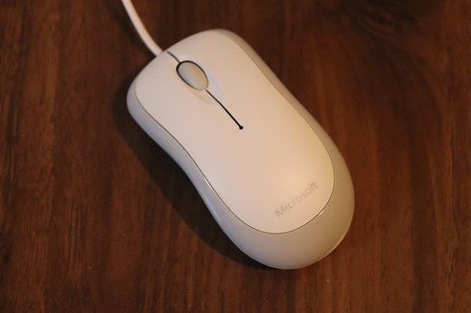 Microsoft Basic Optical Mouse v2.0 (Model 1113)