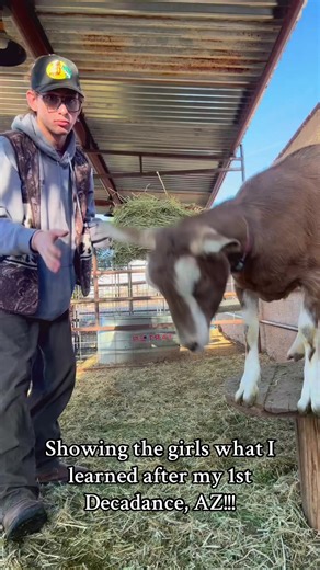 Taronga's Flow Art Journey After Decadance AZ