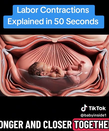 Labor Contractions Explained baby delivery full 3d process #laboranddelivery #labor #babydelivery #childbirth #healthcare