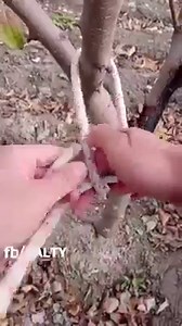 818K views · 1.5K reactions | Ultimate Hand Crafts For Easy Life Join: CNC Machining | CNC Machine World | Facebook