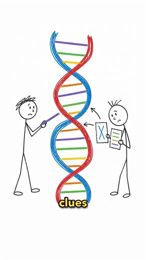 Rosalind Franklin and the Truth Behind Photo 51