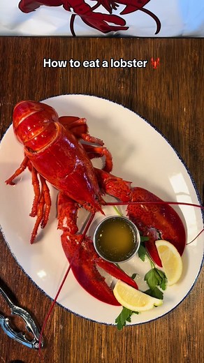 🦞 How to eat a lobster 101 #LegalSeaFoods #Lobster #Seafood #RestaurantFoodie