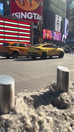 Exploring the Wonders of New York City