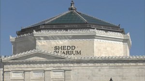 Shedd Aquarium announces 2020 free days