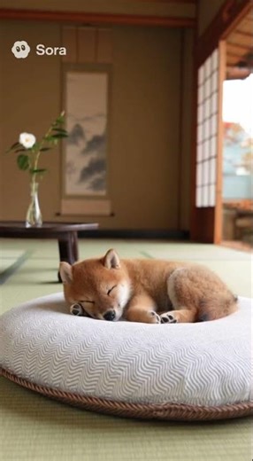 可愛い犬 動画 15