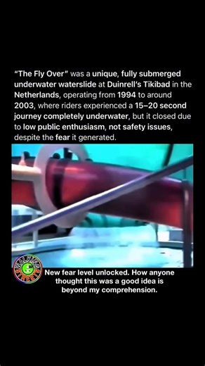 This Water Slide Submerged Riders Completely and It Was Perfectly Legal 🛝