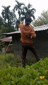 Rain effect 🌧️💦🌳 smooth transition cinimatic #highlightseveryone #mobilevideography #highlight #virals | Randyvlog