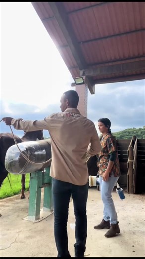 #caballos #cavalos #foryoupage #horses #amazing